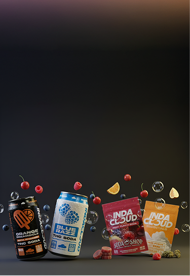 Indacloud footer Banner